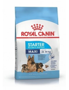 Royal Canin Maxi Starter 10kg