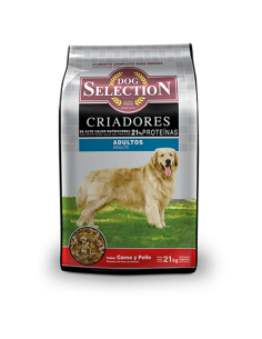 Dog Selection