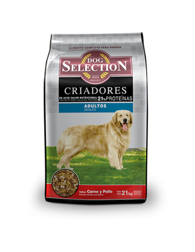 Dog Selection