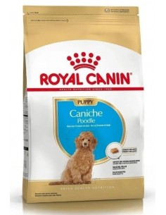 Royal Canin Caniche Puppy