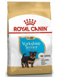 Royal Canin Yorkshire Terrier puppy