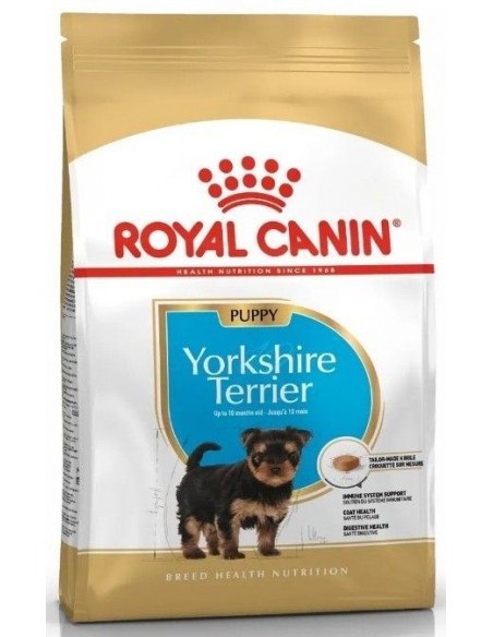 Royal Canin Yorkshire Terrier puppy