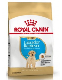 Royal Canin Labrador...