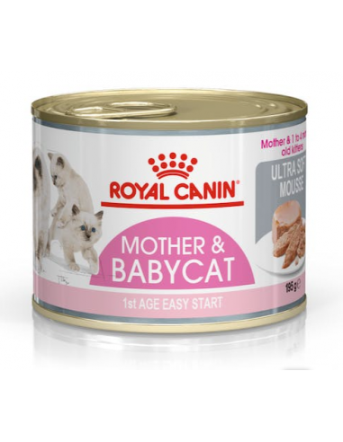 Royal Canin Mother & Babycat lata 6 x...