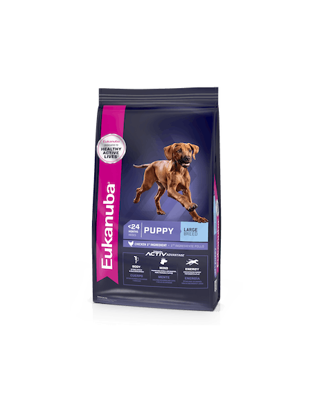 Eukanuba Puppy Large Breed 3kg