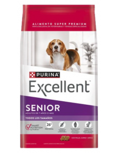 Excellent Dog  Senior 7+