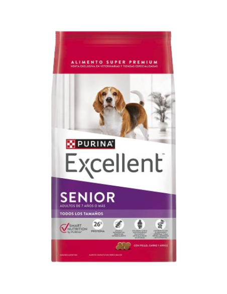 Excellent Dog  Senior 7+