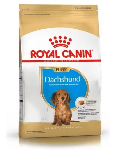 Royal Canin Dachshund Puppy
