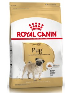 Royal Canin Pug adulto