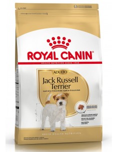 Royal Canin Jack Russel adulto