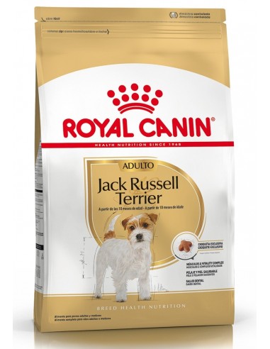 Royal Canin Jack Russel adulto