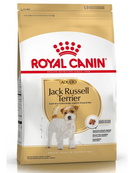 Royal Canin Jack Russel adulto