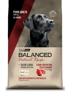Vital Can Balanced Natural Recipe Carne 15kg