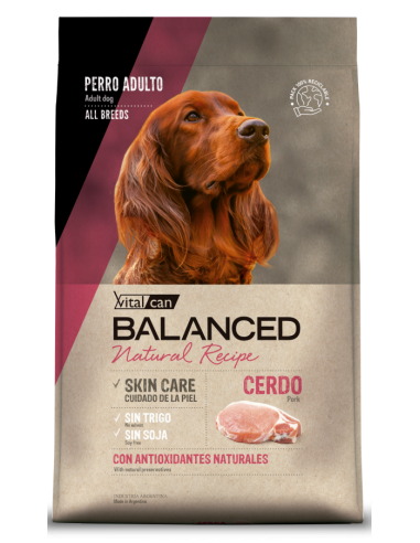 Vital Can Balanced Natural Recipe Cerdo 15kg