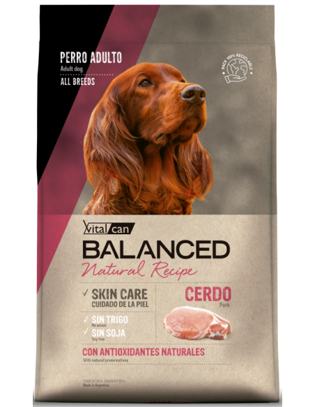 Vital Can Balanced Natural Recipe Cerdo 15kg