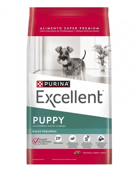 Excellent Cachorro raza pequeña