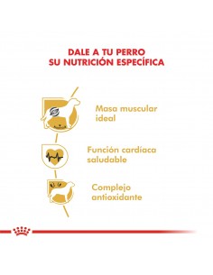 Royal Canin Boxer Adult 12kg 2