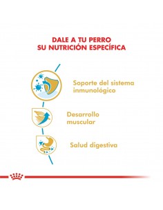 Royal Canin Boxer Puppy 12kg 2