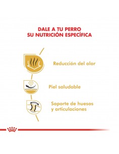 Royal Canin Bulldog Ingles Adult 12kg 2