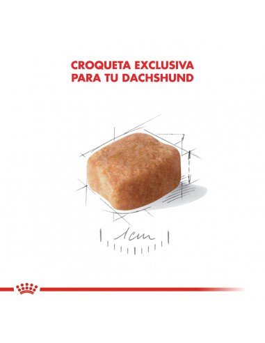 Royal Canin Dachshund  Adult 3kg