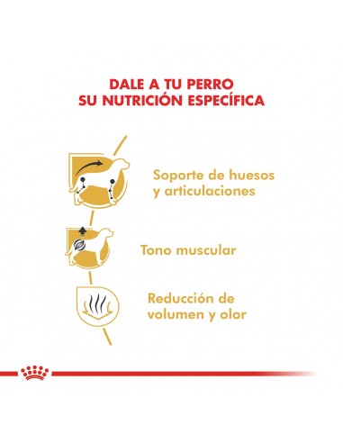 Royal Canin Dachshund  Adult 3kg