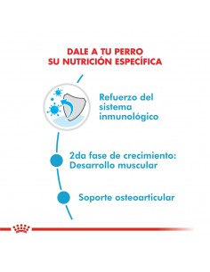 Royal Canin Giant Junior 15kg 2