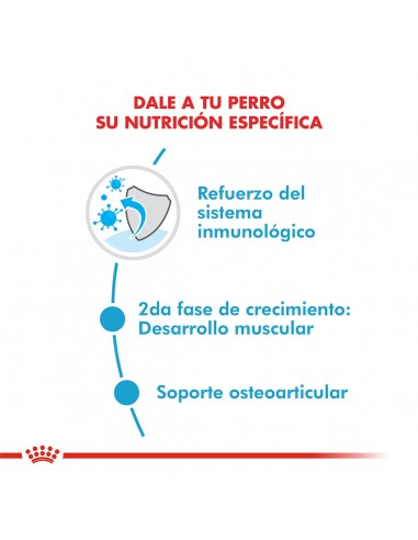 Royal Canin Giant Junior 15kg