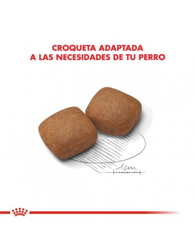Royal Canin Giant Junior 15kg