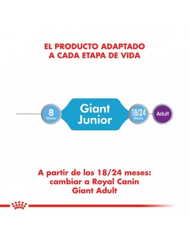 Royal Canin Giant Junior 15kg