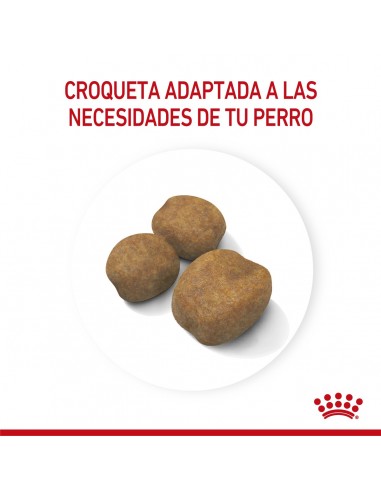Royal Canin Giant Puppy 15kg