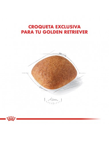 Royal Canin Golden Retriever Adult 12kg
