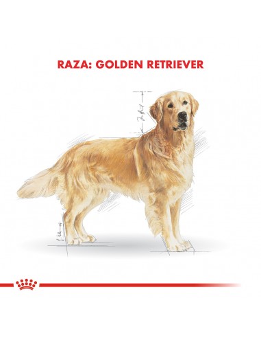 Royal Canin Golden Retriever Adult 12kg