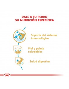 Royal Canin Labrador... 2