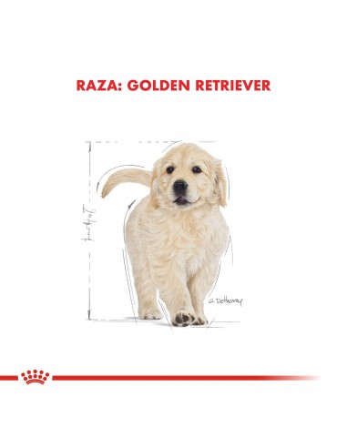 Royal Canin Labrador Retriever Puppy...