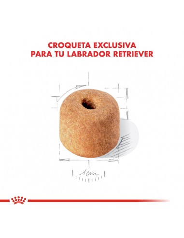 Royal Canin Labrador Retriever Adult...