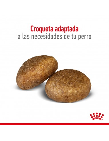 Royal Canin Maxi Adult 3kg