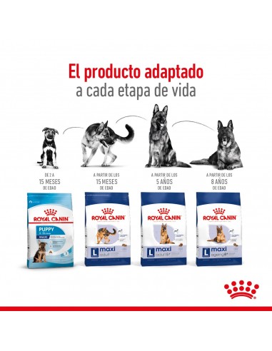 Royal Canin Maxi Adult 3kg