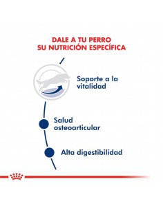 Royal Canin Maxi Adult 5+ 15kg 2