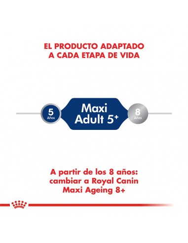 Royal Canin Maxi Ageing 8+ 15kg