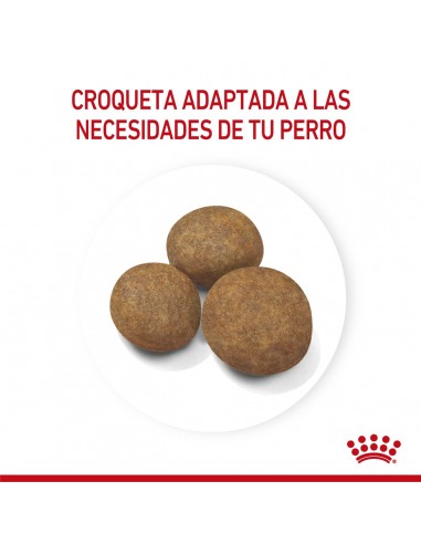 Royal Canin Maxi Puppy 3kg