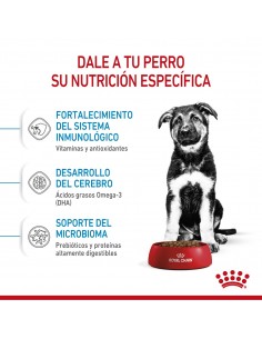 Royal Canin Maxi Puppy 3kg 2