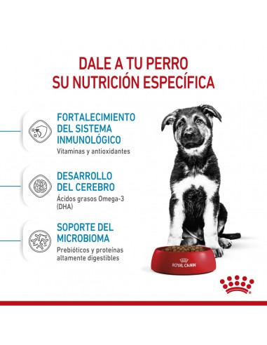 Royal Canin Maxi Puppy 3kg