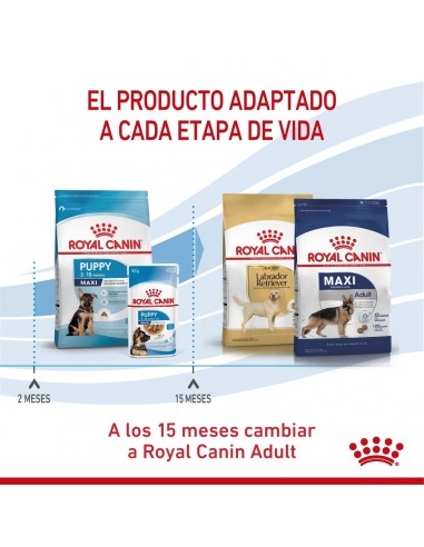 Royal Canin Maxi Puppy 3kg