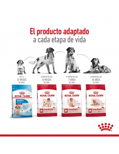 Royal Canin Medium Adult 3kg