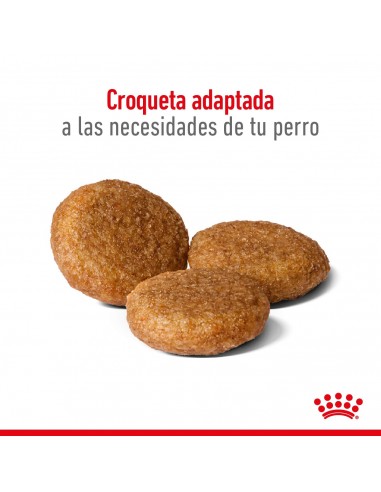 Royal Canin Medium Adult 7.5kg