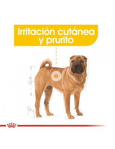 Royal Canin Medium Dermacomfort 3kg