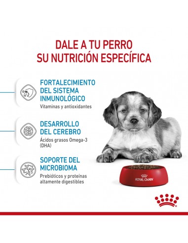 Royal Canin Medium Puppy 15kg