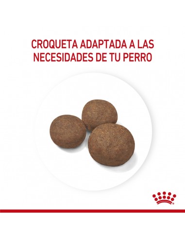 Royal Canin Medium Puppy 15kg