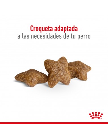 Royal Canin Mini Adult 3kg