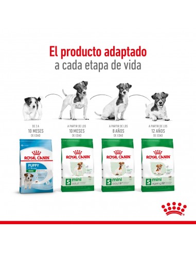 Royal Canin Mini Adult 3kg